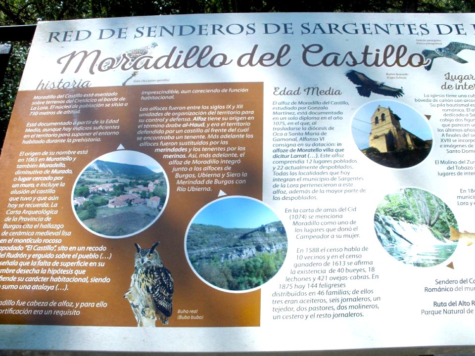 Moradillo del Castillo 15