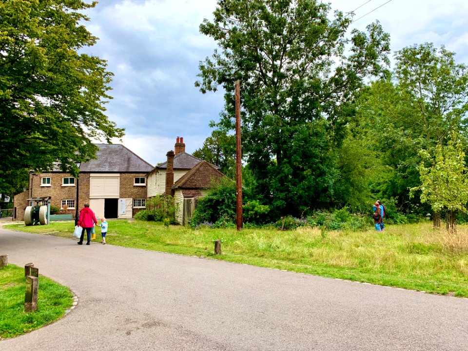 Morden Hall Park July 2020