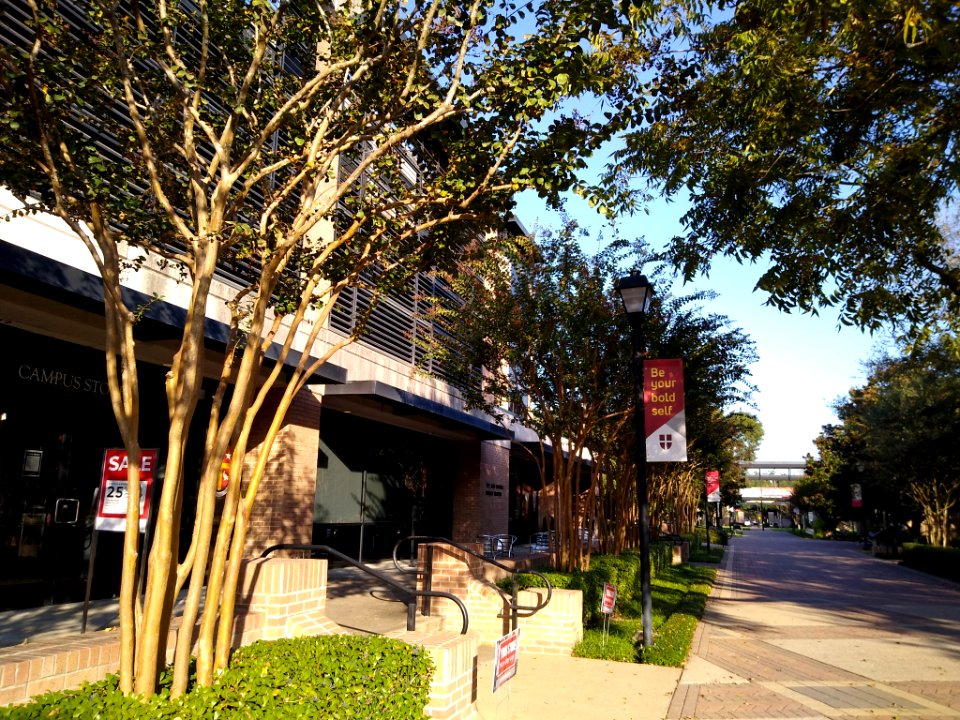 Moran Center USTHTX