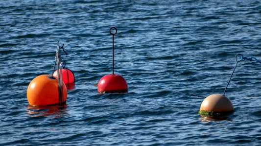 Mooring buoys in Govik photo