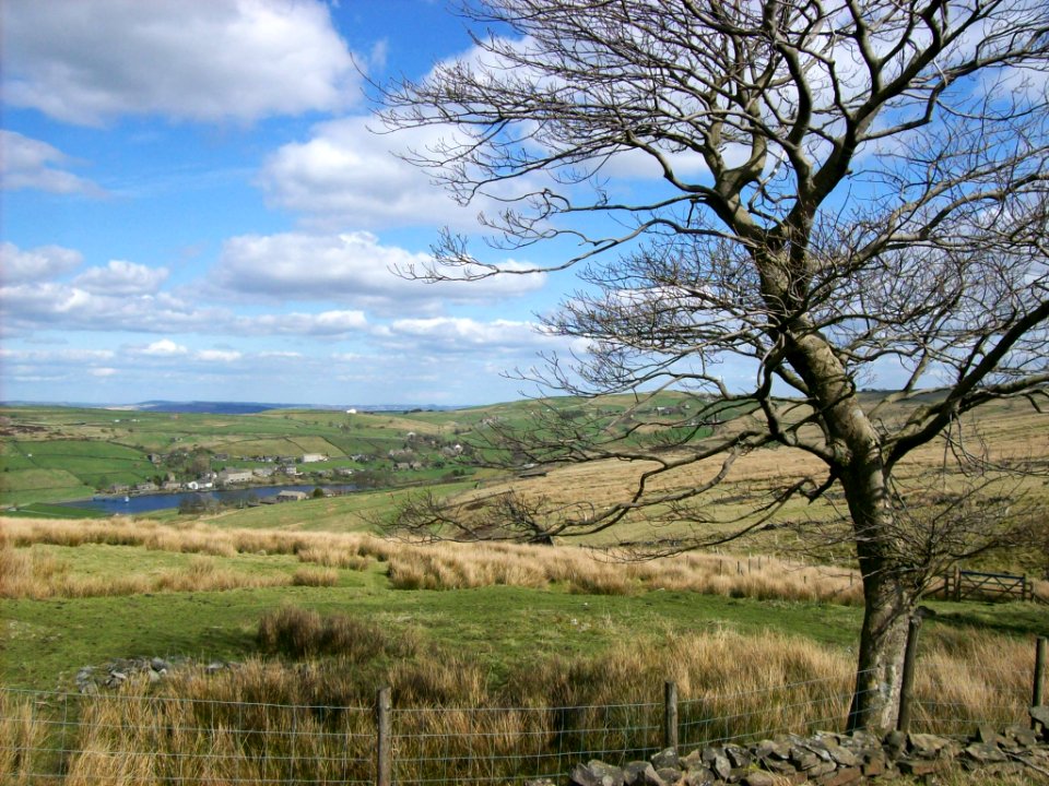 Moorland above Oxenhope 2