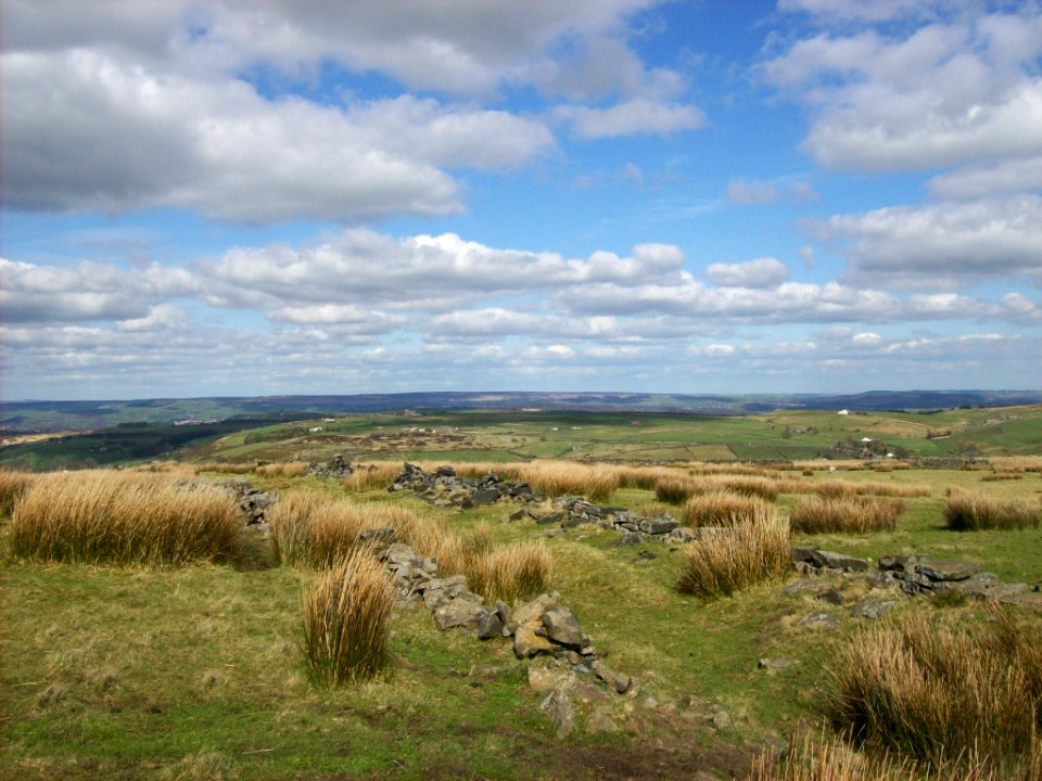 Moorland above Oxenhope 1