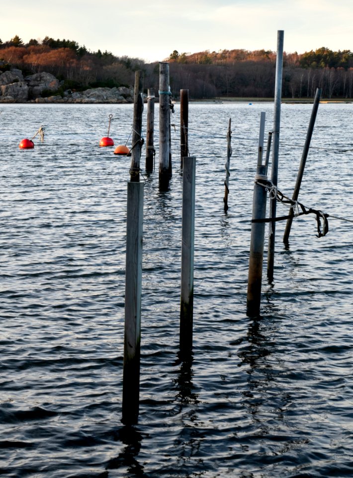 Mooring poles in Govik