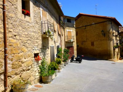 Moreda de Álava 18