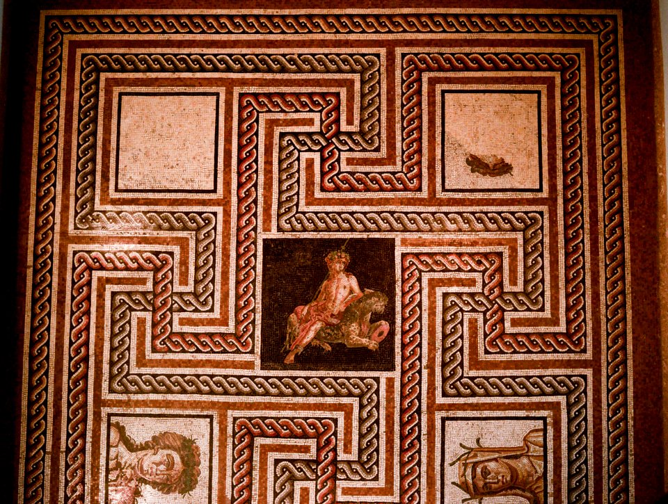 Mosaic in Musée gallo-romain de Fourvière