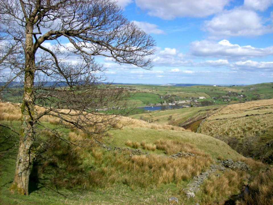 Moorland above Oxenhope 3