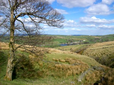 Moorland above Oxenhope 3