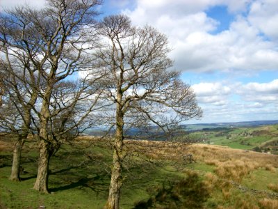 Moorland above Oxenhope 5