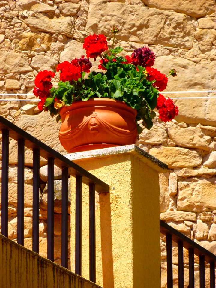 Moreda de Álava 32