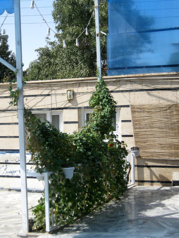 Mortazavi (Arg) Mosque - North arg st - Nishapur 09