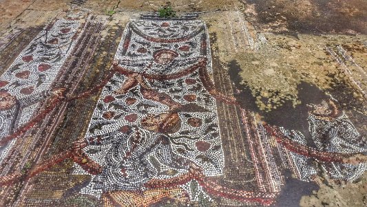 Mosaique aux thermes d'antonin