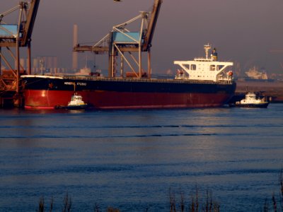 Mineral Kyushu (IMO 9346366, Callsign 3EDS5, MMSI 371705000), Port of Rotterdam 21March2009 21March2009