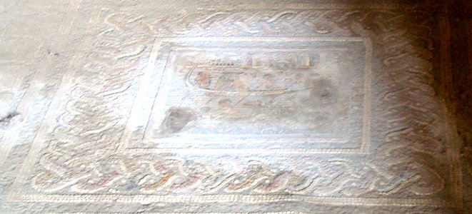 MosaicMenander