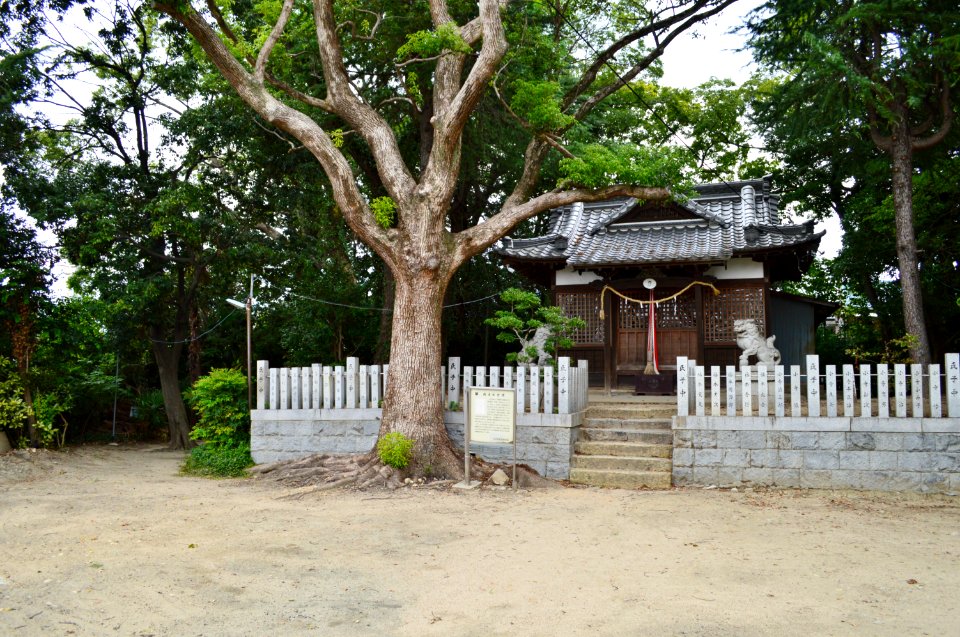 Minamishimizu Kofun, funkyu