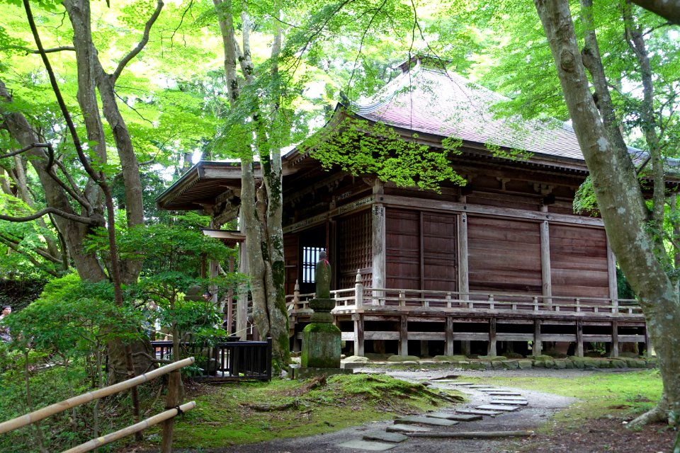 Mine Yakushido Hall - Chusonji, Hiraizumi, Iwate - DSC04820