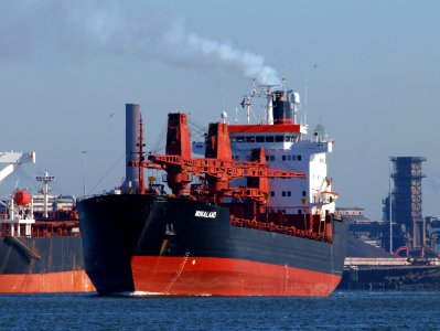Minaland - IMO 7514426 - Callsign VQGZ8 at IJmuiden, Port of Amsterdam photo-8