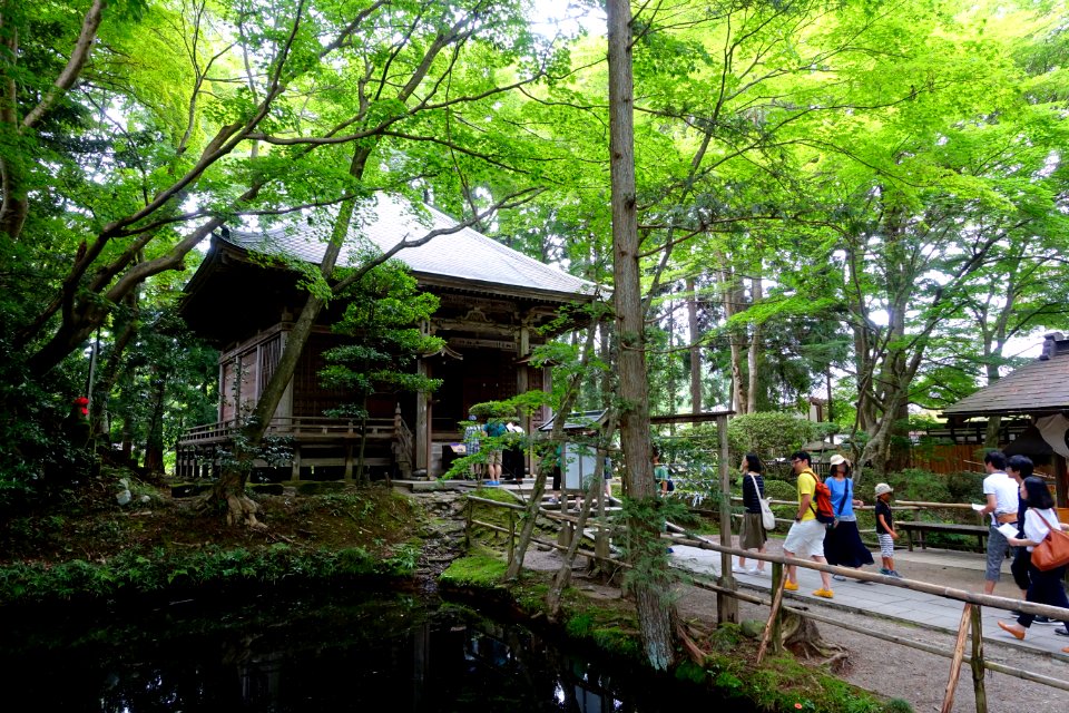 Mine Yakushido Hall - Chusonji, Hiraizumi, Iwate - DSC04852