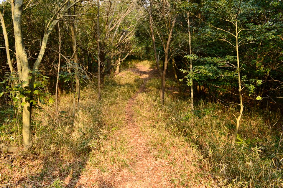 Minato Chausuyama Kofun, zenpoubu