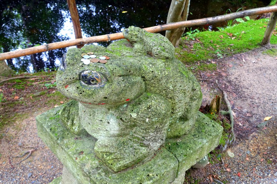 Mine Yakushido Hall frog - Chusonji, Hiraizumi, Iwate - DSC04845