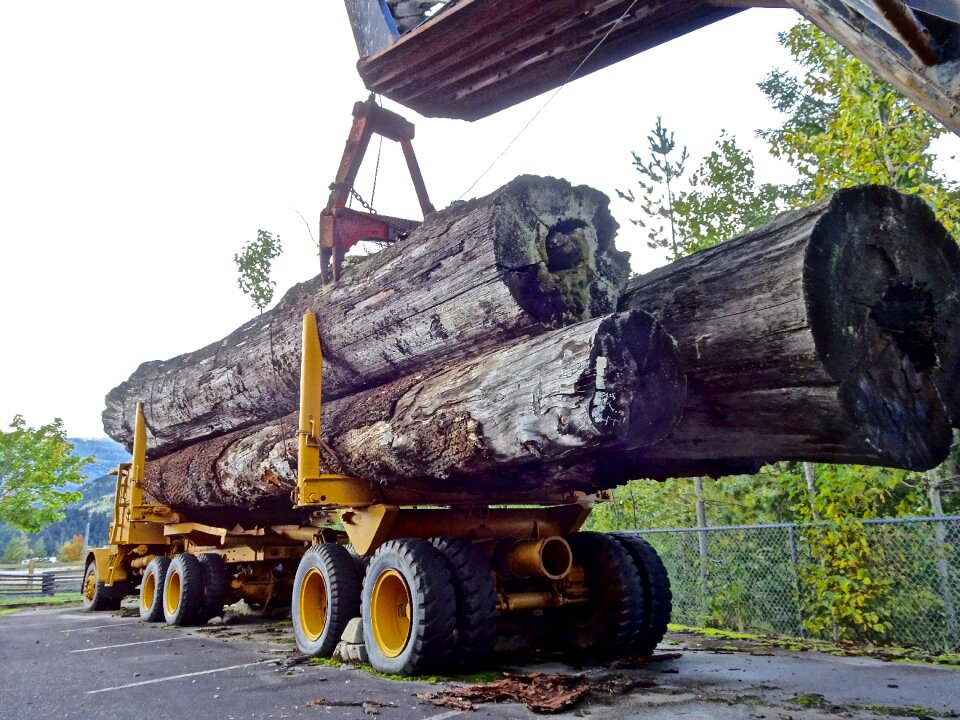 Forestry equipment vehicle