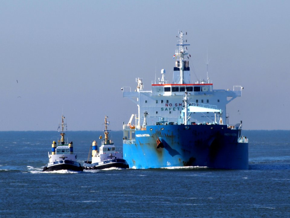 Minerva Antonia - IMO 7700180 at IJmuiden, Port of Amsterdam photo-2