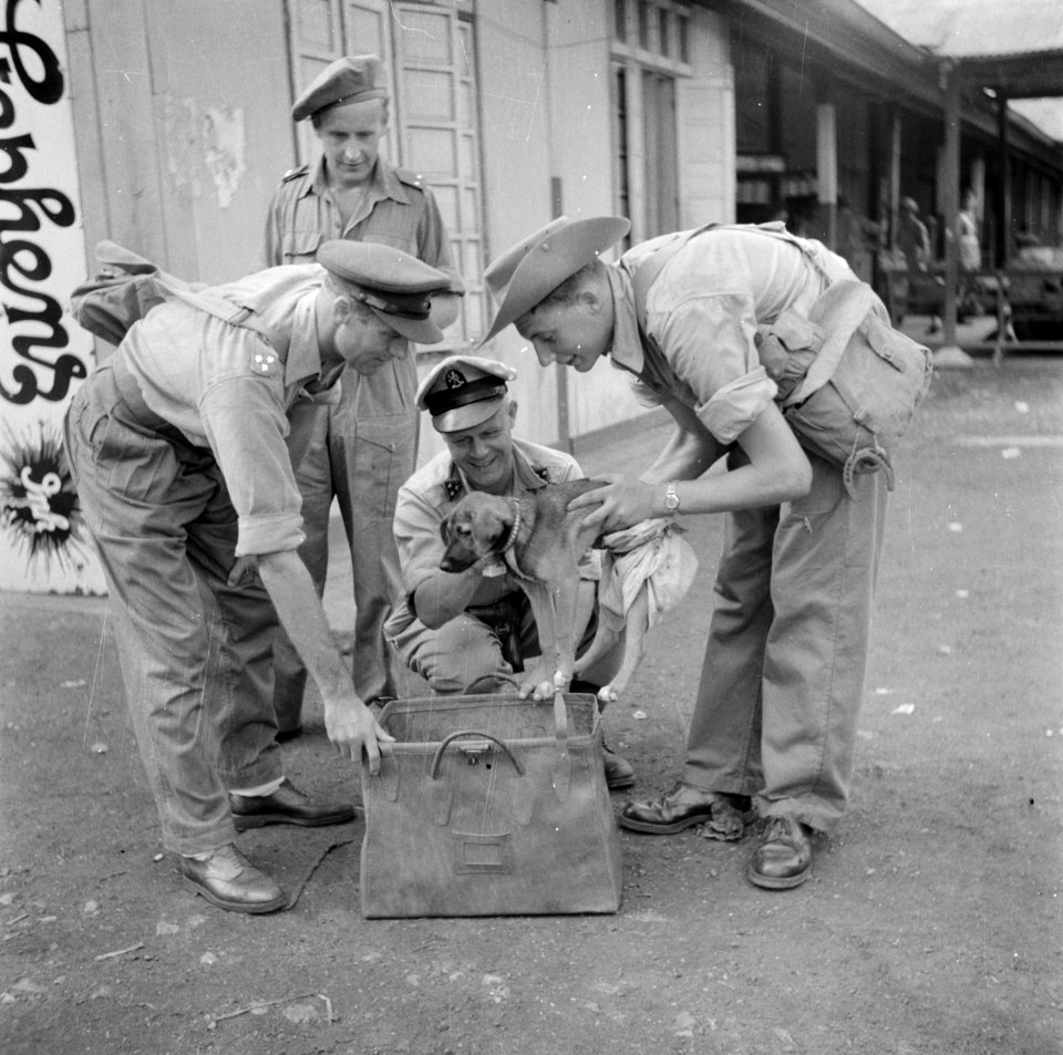 Militairen proberen een hondje mee te smokkelen vanuit Malakka, Bestanddeelnr 255-8216