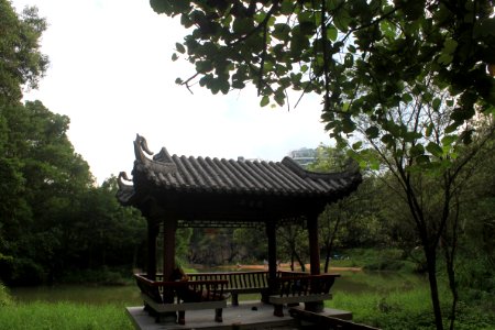 Mingcui Lake of Shenzhen International Garden and Flower Expo Park9