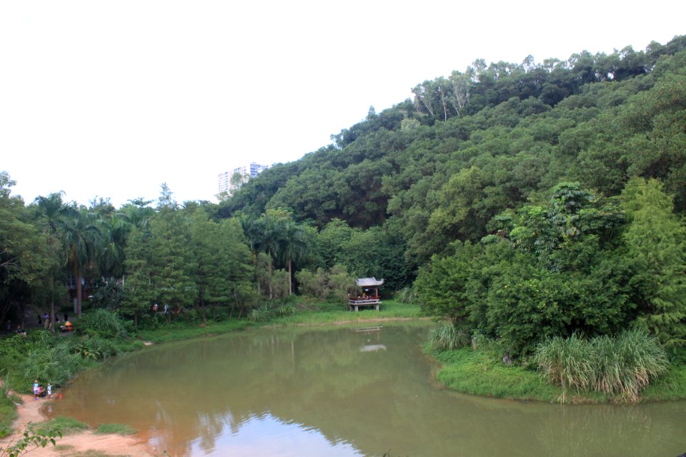 Mingcui Lake of Shenzhen International Garden and Flower Expo Park5