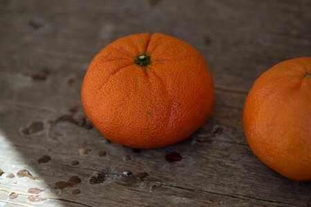 Citrus fruit vitamins food