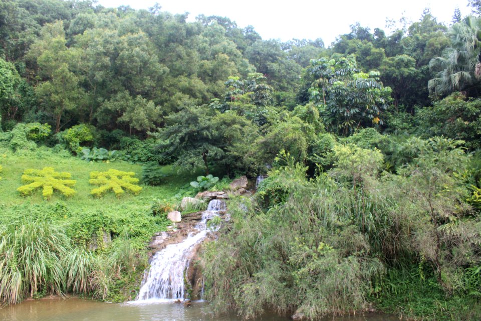 Mingcui Lake of Shenzhen International Garden and Flower Expo Park1