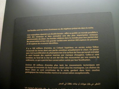 MIM (musée) Musée des minéraux, fossiles - Beyrouth 01