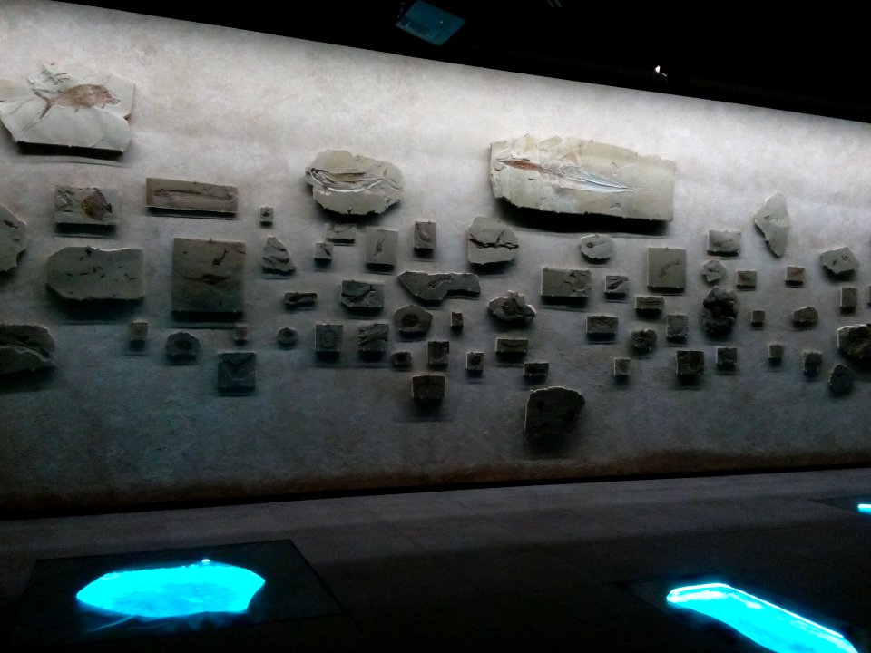 MIM (musée) Musée des minéraux, fossiles - Beyrouth 03