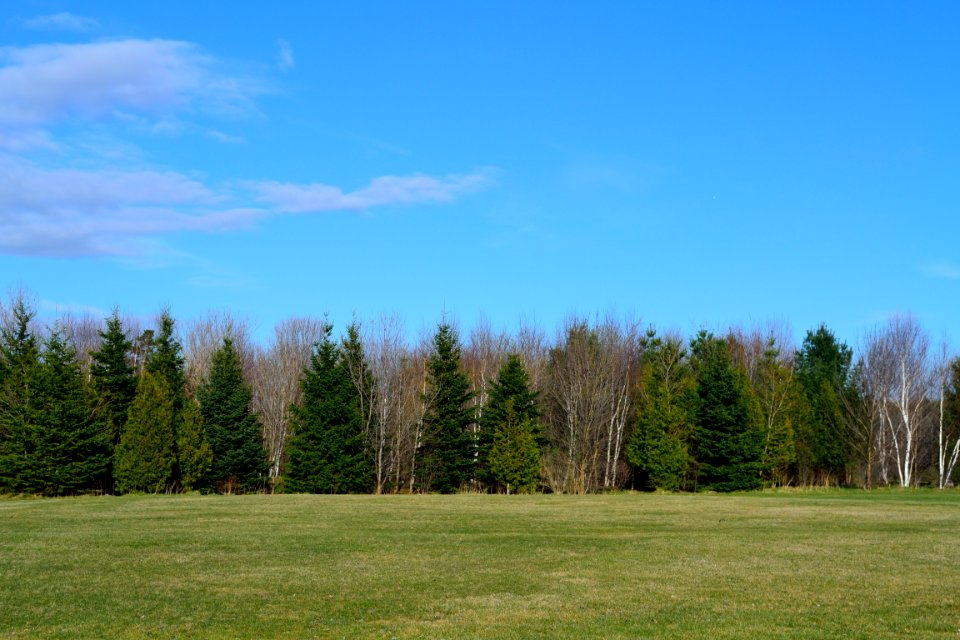 MilneDamConservationPark10
