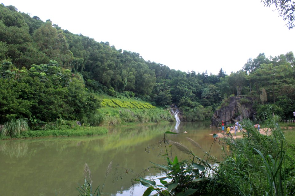 Mingcui Lake of Shenzhen International Garden and Flower Expo Park6