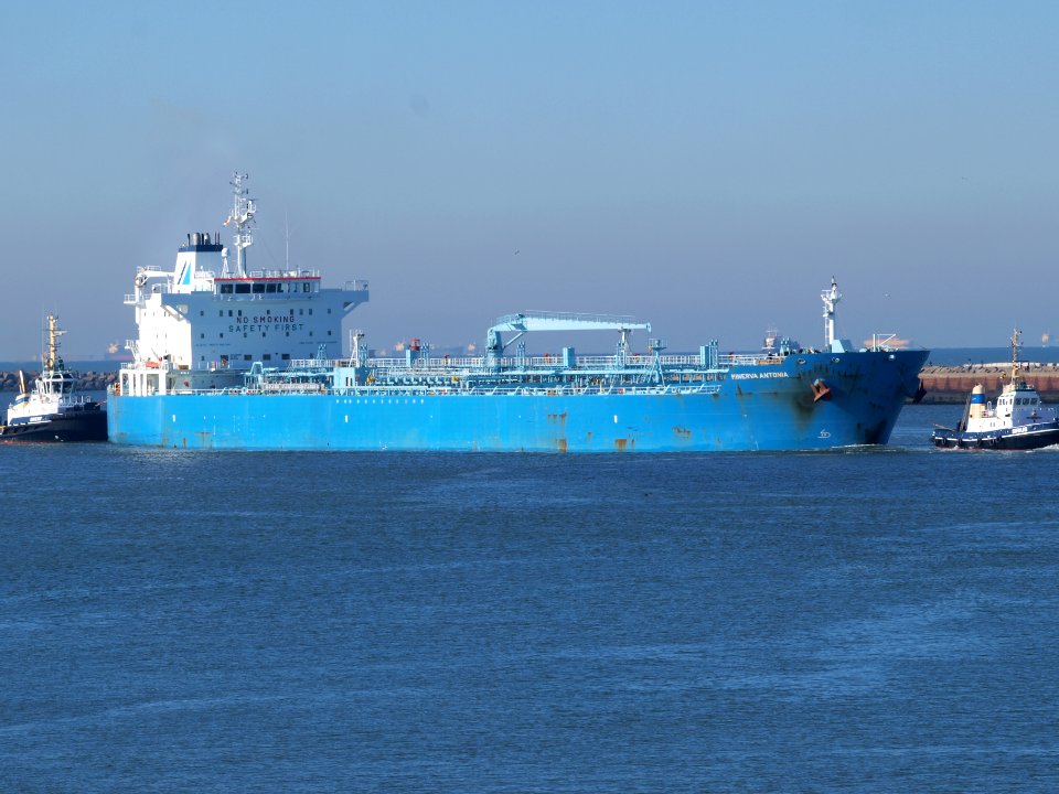 Minerva Antonia - IMO 7700180 at IJmuiden, Port of Amsterdam photo-4