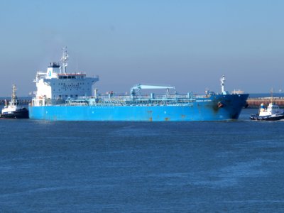 Minerva Antonia - IMO 7700180 at IJmuiden, Port of Amsterdam photo-4