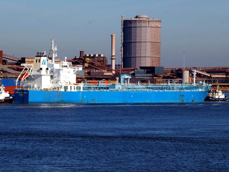 Minerva Antonia - IMO 7700180 at IJmuiden, Port of Amsterdam photo-9