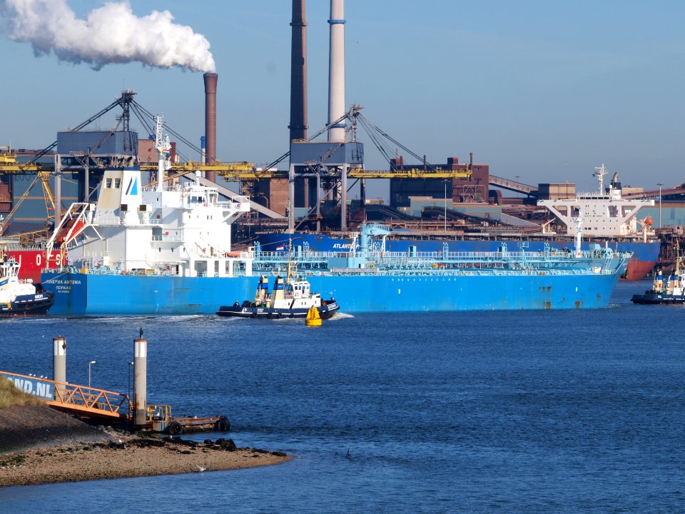 Minerva Antonia - IMO 7700180 at IJmuiden, Port of Amsterdam photo-8