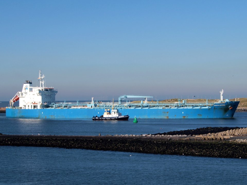 Minerva Antonia - IMO 7700180 & Saturnus IMO 7719052 at IJmuiden, Port of Amsterdam photo-11