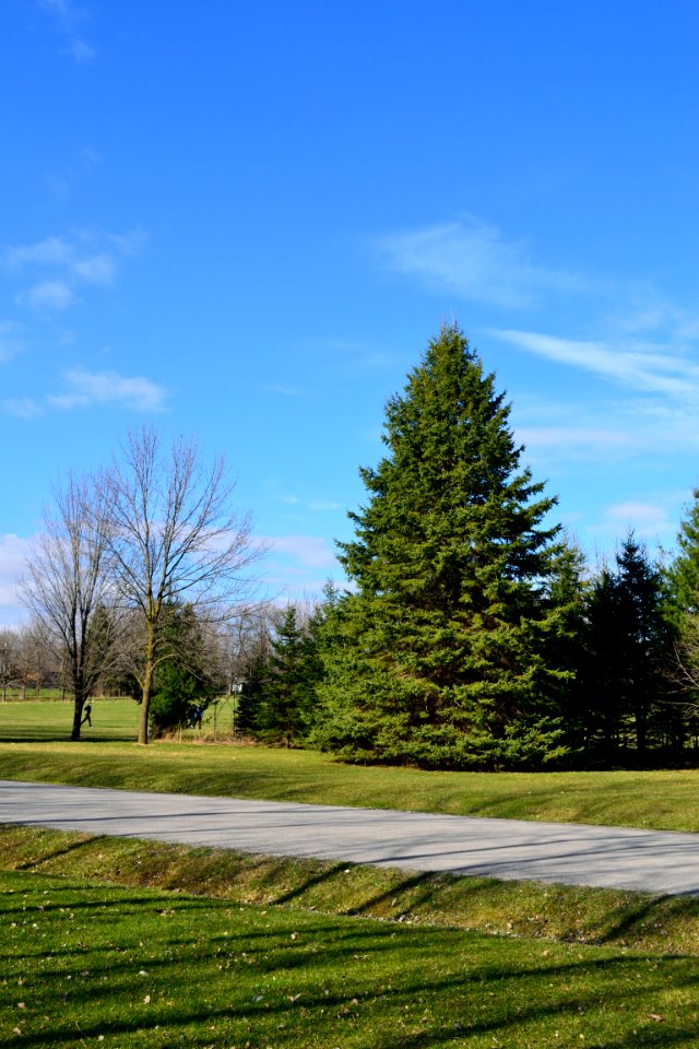 MilneDamConservationPark9
