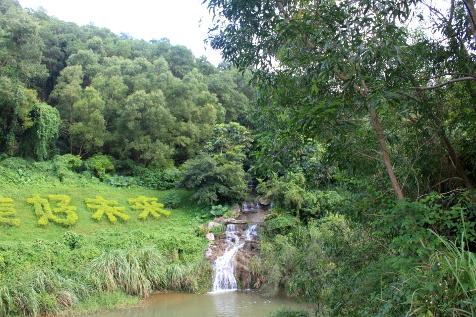 Mingcui Lake of Shenzhen International Garden and Flower Expo Park3