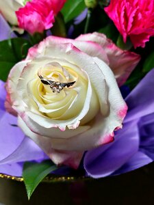 Bride wedding composition