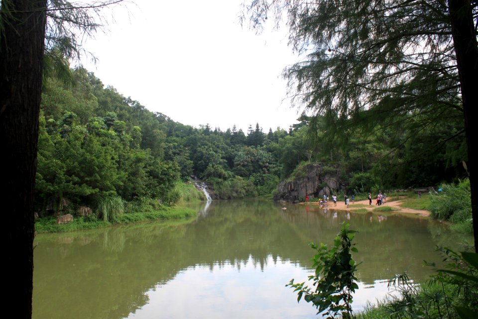 Mingcui Lake of Shenzhen International Garden and Flower Expo Park7