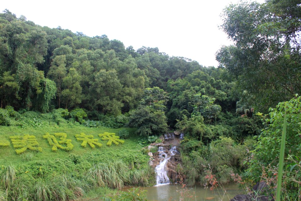 Mingcui Lake of Shenzhen International Garden and Flower Expo Park4