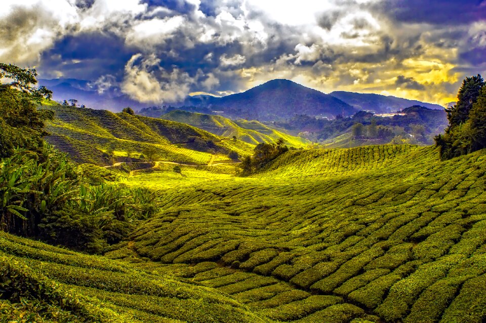 Sky clouds fields photo