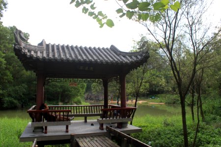 Mingcui Lake of Shenzhen International Garden and Flower Expo Park8