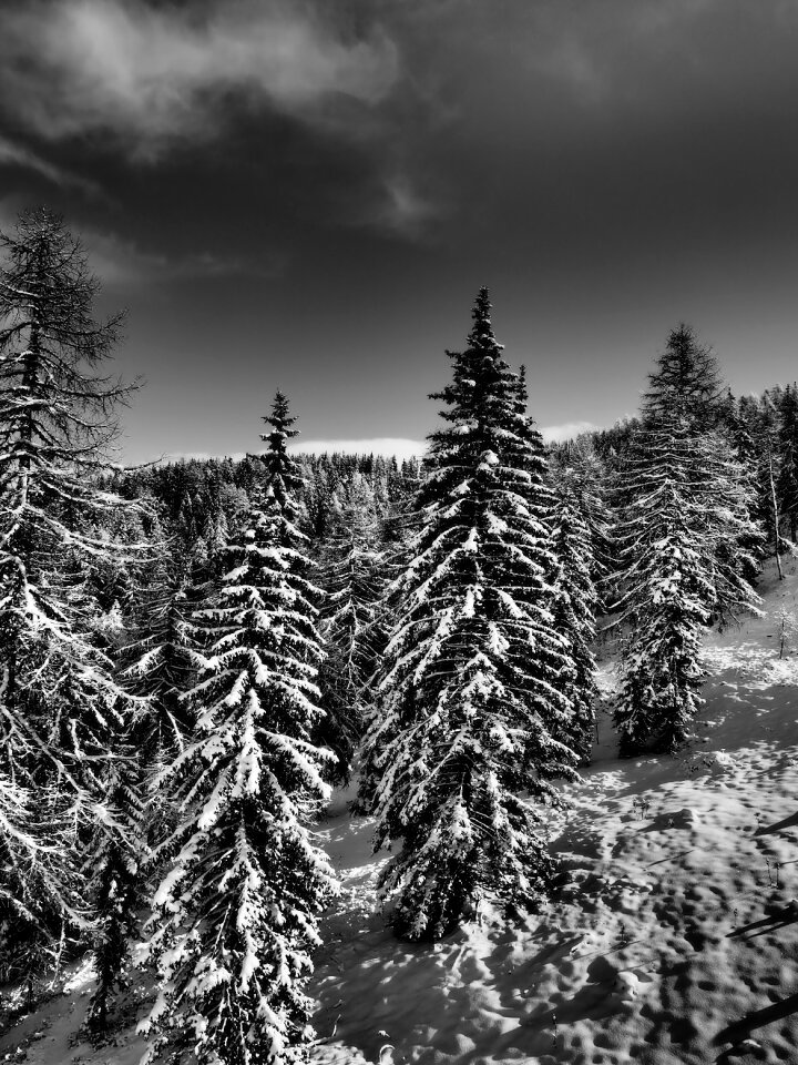 Winter sports ski run skier