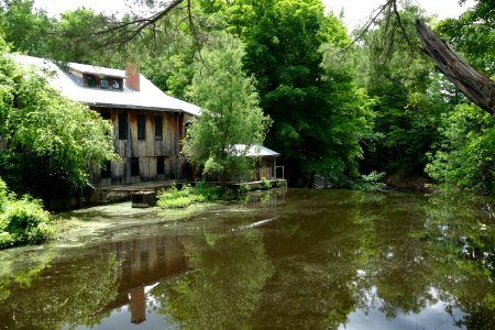 Millpond - Hadley, Massachusetts - DSC07594