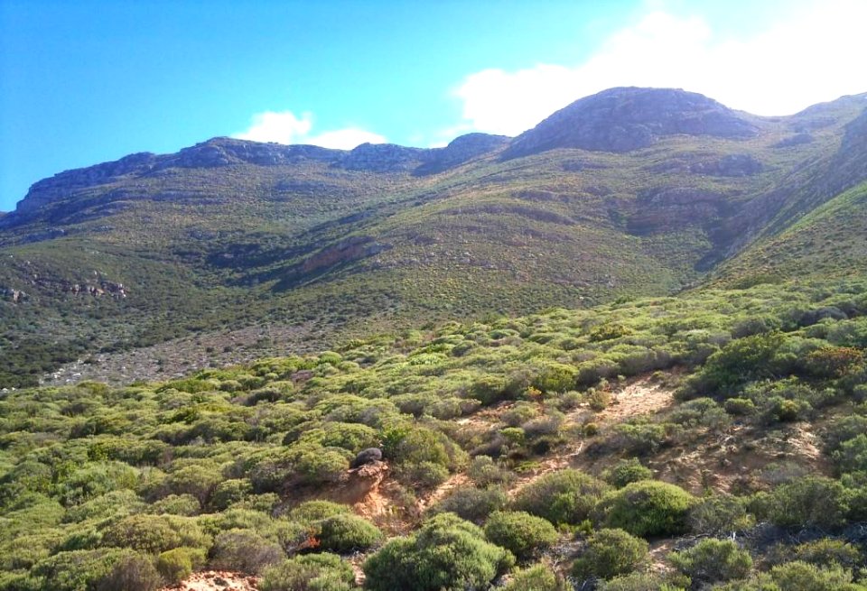 MillersPoint Mountainside Cape Town 5