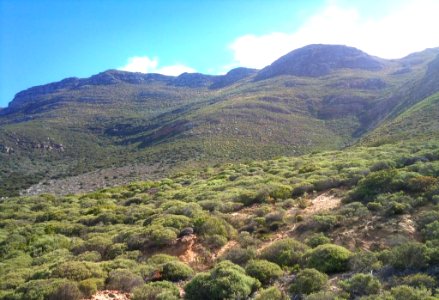 MillersPoint Mountainside Cape Town 5 photo